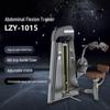 Power Wings Commercial Abdominal Trainer