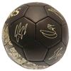 Tottenham Hotspur FC Signature Soccer