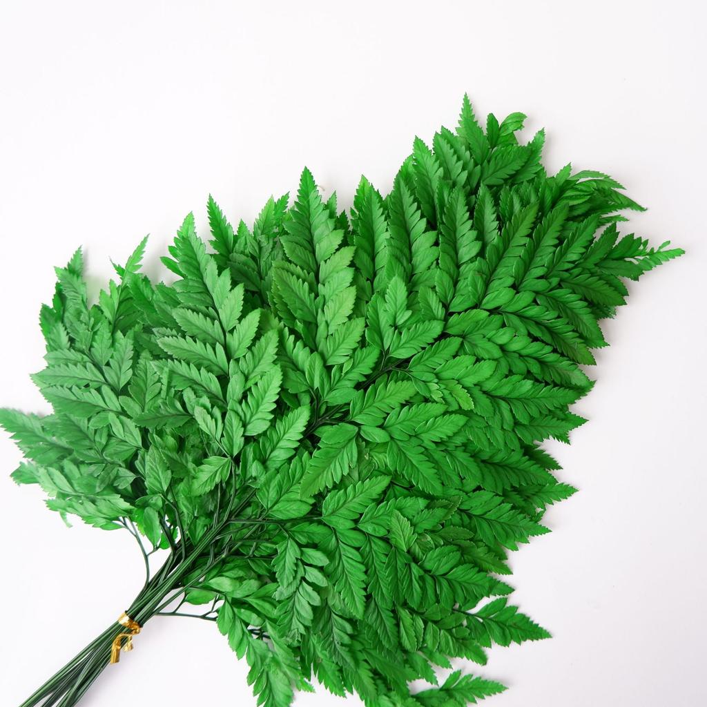 Eternal Alpine Fern Golden Alpine Fern Leaf Immortal Flower Dried Flower Bouquet Wedding Decoration With Grass