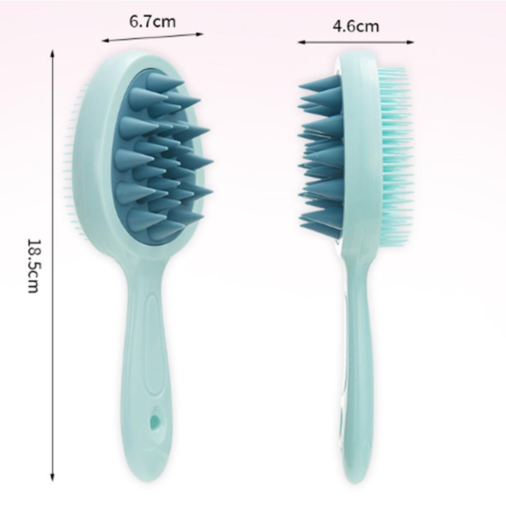 Two Sided Hair Brush for Detangling Wet and Dry Hair Scalp Massage Brush Reduce Frizz Smooth Shine Gentle on All Hair Types