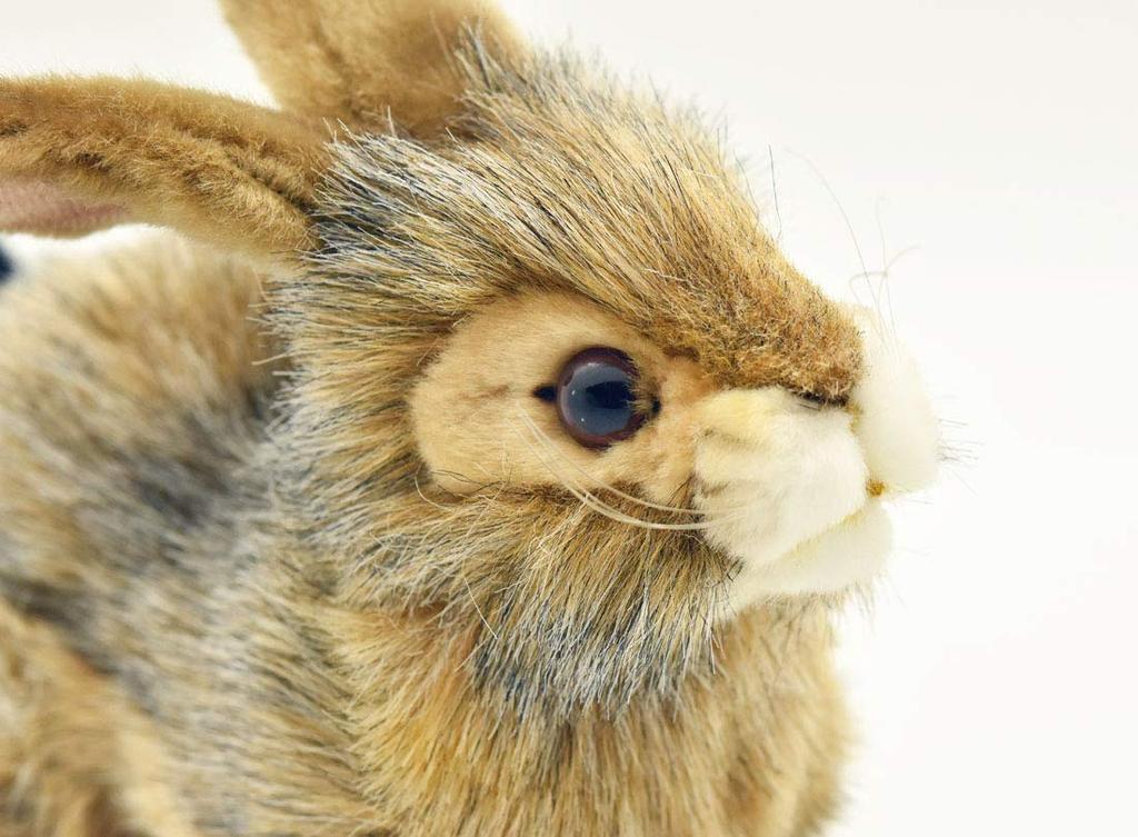 BH6284 HANSA Black-tailed Rabbit 25