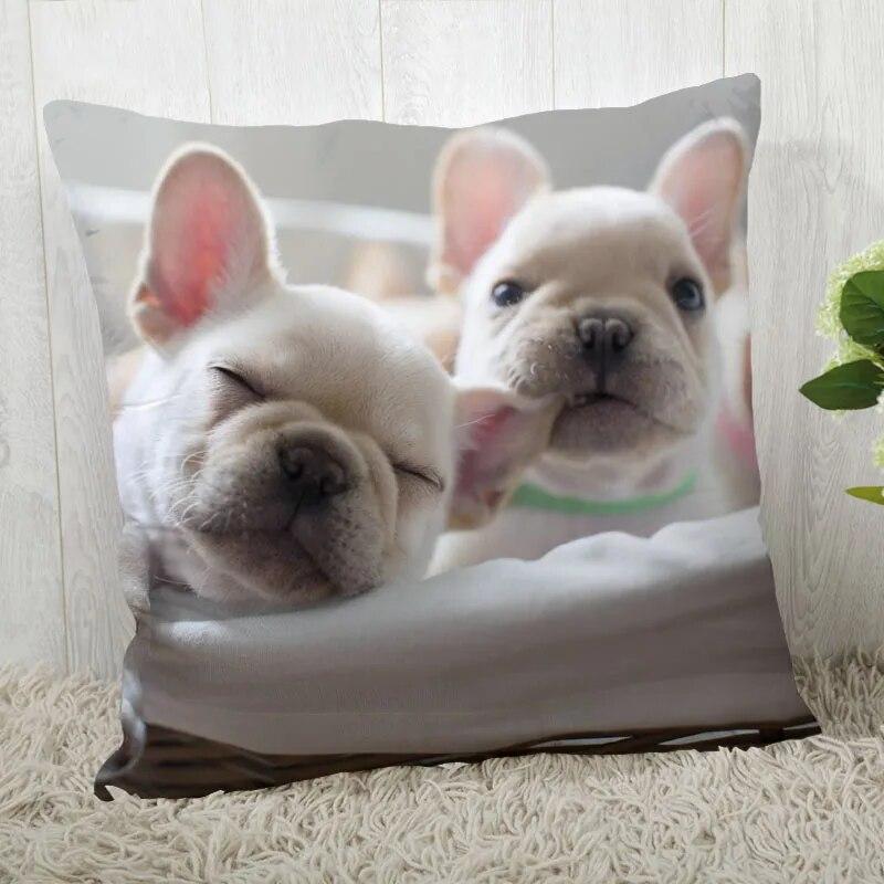 Pillowcase Bulldog  Modern Home Living Room Decoration