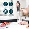 Immersion Blender Princess 221229 (01.221229.01.001)