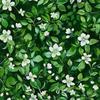 Outdoor Decorative Fabrics Oxford - Motif Spring I Dx7685