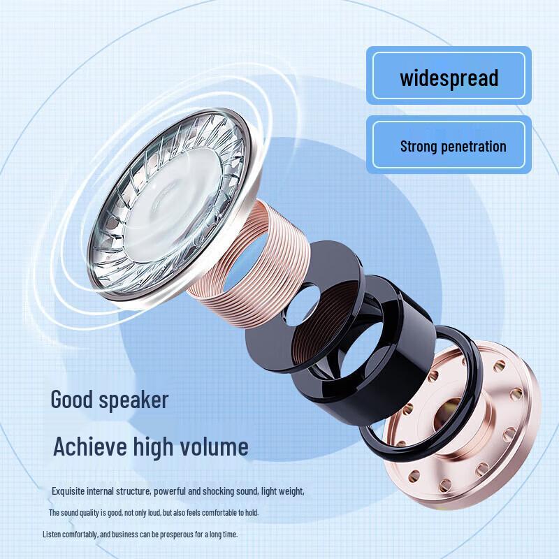 Leigongwang CR-600 Multifunction Bluetooth USB Megaphone CN plug (adapter included)