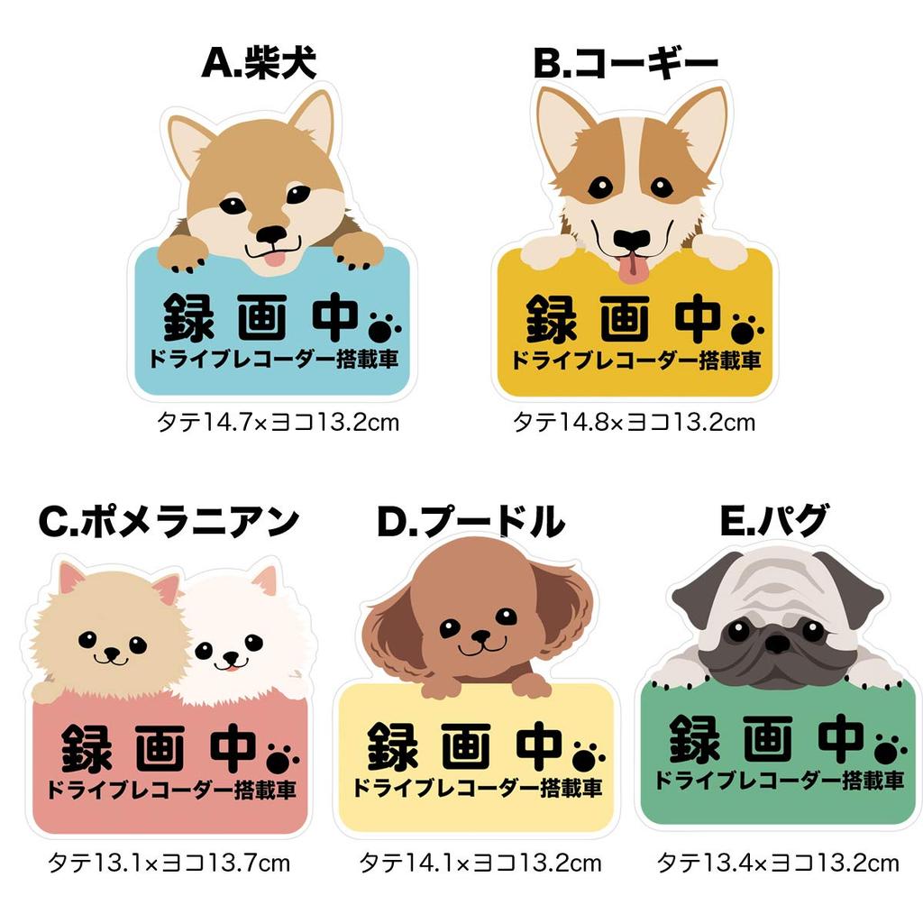 Biijo Drive Recorder Waterproof/Heat Resistant Sticker Sticker Drive Recorder Sticker