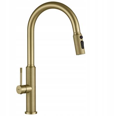 Master Gold Brushed Quilted Pull-Out Kitchen Faucet