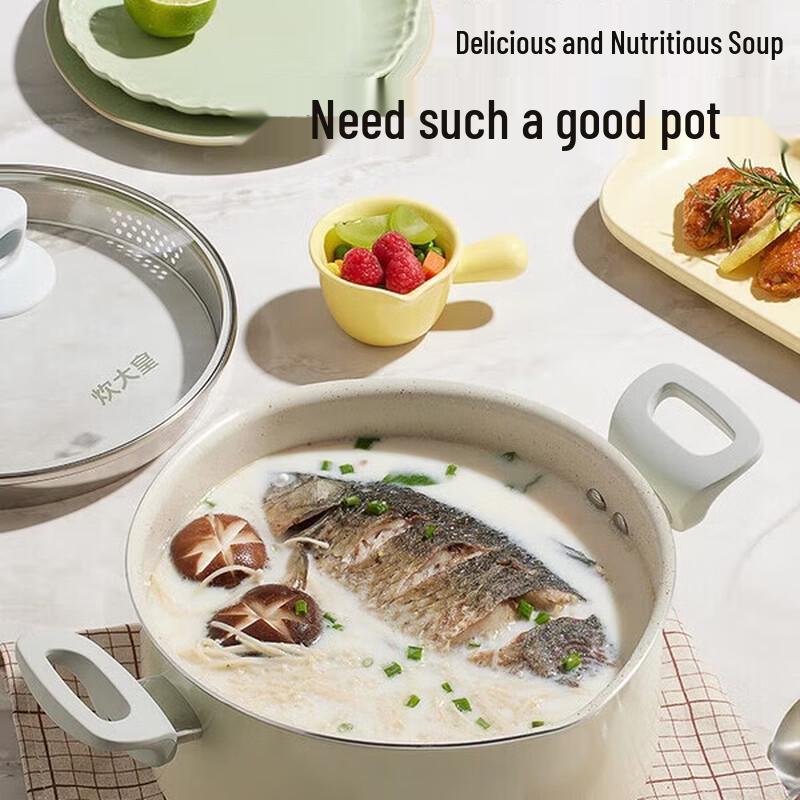 COOKER KING 22cm Non-Stick Multi-Purpose Soup Pot