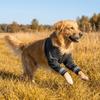 Breathable Dog Leg Support Sleeve Soft Dog Knee Pads Dog Recover Legs Pad  For Dog Front Leg