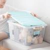 Transparent Lidded Storage Box