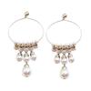 French Retro Silver Needle Round Pearl Fringed Earrings Light Luxury High-end Stud Earrings Niche Fashion Versatile Earrings Women