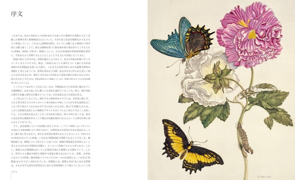 The World of Botanical Art: A Collection of Masterpieces of Botanical Illustrations