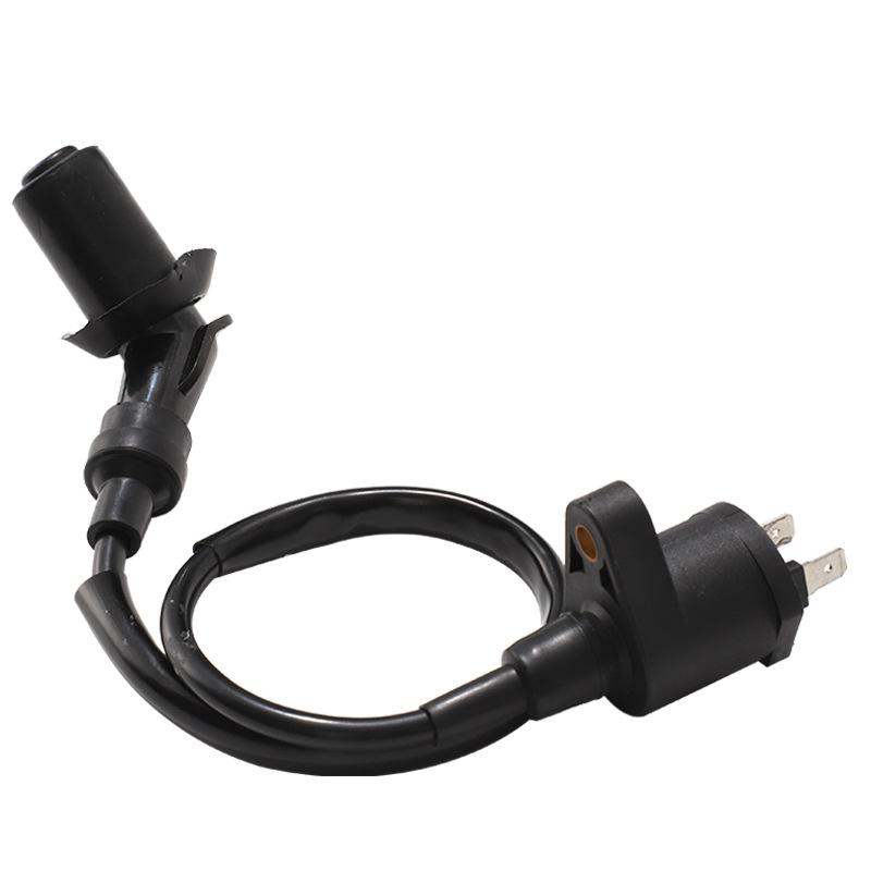 Motorcycle Ignition Coil For Trx300 Gy6 50Cc 125Cc Engine Motorcycle Dirt Bike Scooter Moped High Performance