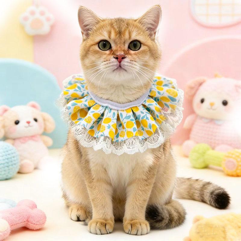 Fresh lace pet saliva towel princess style cat bib doll small dog dog decoration bib supplies