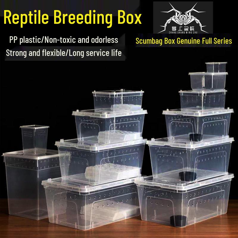 Reptile Habitat Tank for Silkworms, Spiders, Frogs, Snakes, Lizards, Snails, Insects, and Turtles