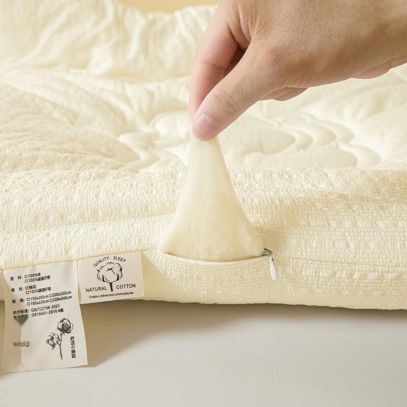 Brangdy Thickened Multi-Season Four-Hole Fiber Quilt