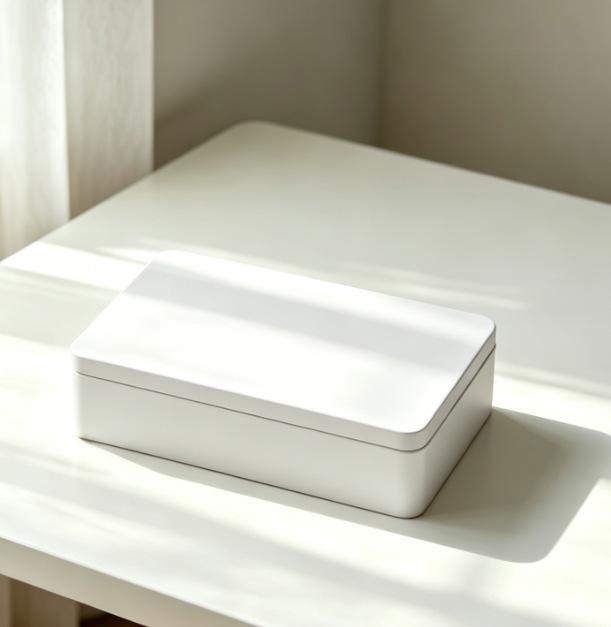 Desktop Collectible Metal Tin Box, Large Rectangular Storage Container for Cookies, Postcards and Small Sundries