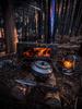 WT-star Stainless Steel Foldable Wood Stove for Outdoor Camping and Hiking