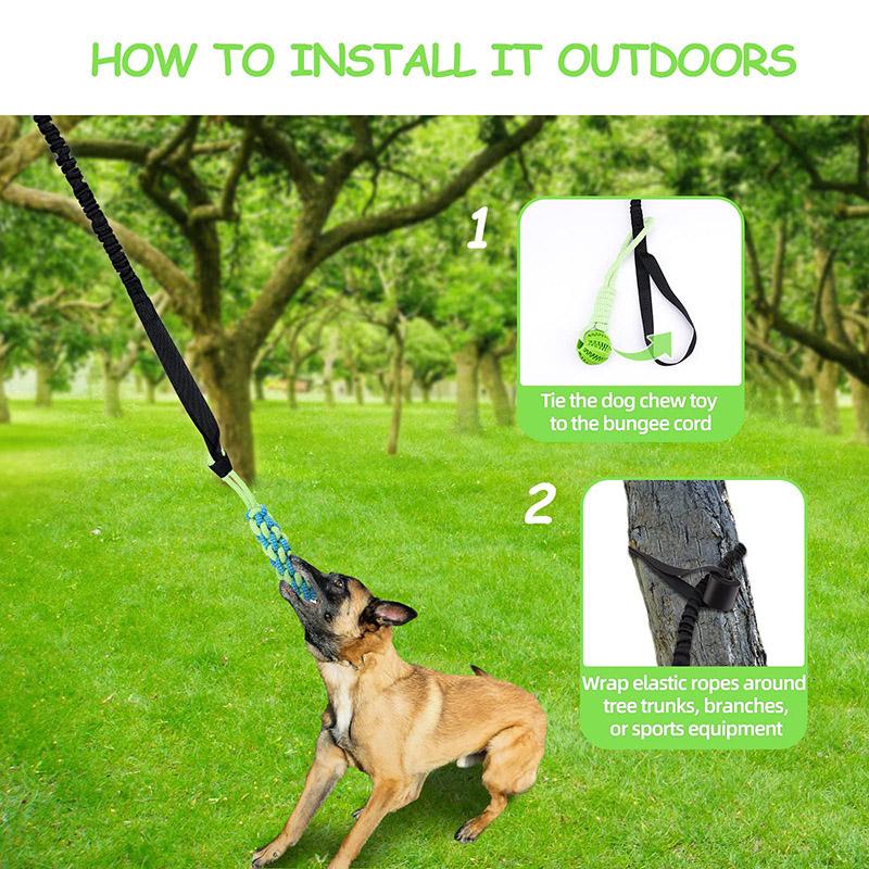 Interactive Dog Toy Spring Rope Dogs Outdoor and Indoor Hanging Pull Rope Ball Bite Resistant Chew Toys Training Pet Accessories