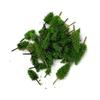 50pcs Trees Model DIY Green High Quality Landscape Scale