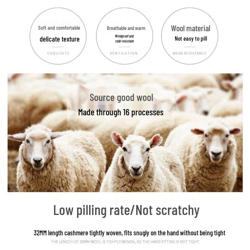 Women's Fleece-Lined Touchscreen Wool Gloves