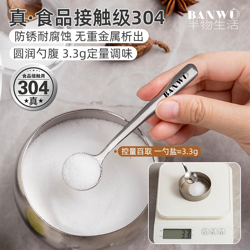 

304 Stainless Steel Mini Salt & Seasoning Spoon