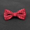 Groom & Groomsmen Bow Tie for Weddings and Formal Events