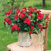 Artificial Impatiens Bunch UV Resistant Faux Flowers Low Maintenance Fake Impatiens Bouquet for Indoor Vase Planters Balcony Decorations