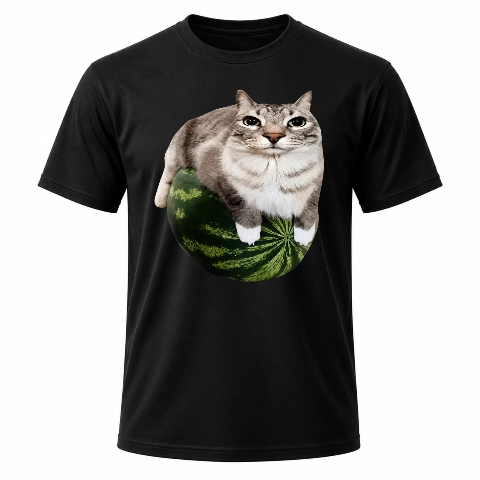 Men S Funny Cat Meme Black Graphic T-Shirt FR M