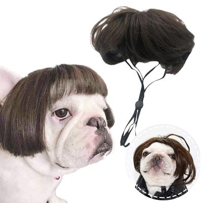 Yay Köpeği, Cosplay, Peruk, Dans, Parti, Aksesuar, Köpek, Dekorasyon, Saç