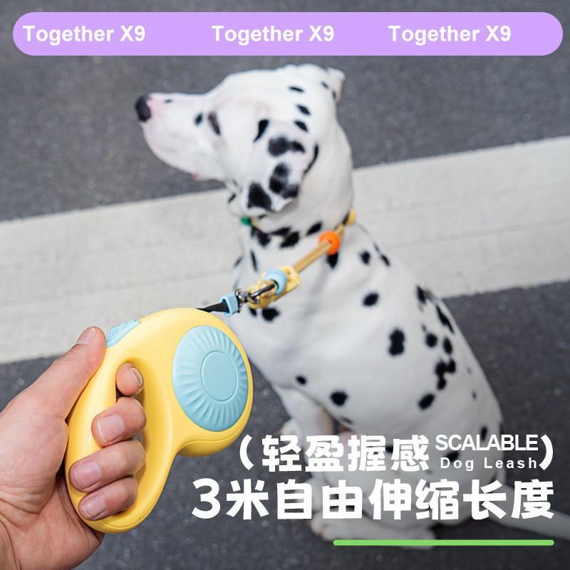 Retractable Dog Leash Walking Small Medium Large Dogs Auto Pet Lead With Comfort Handle