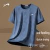 Guirenniao Men's Ice Silk Quick-Dry T-Shirt