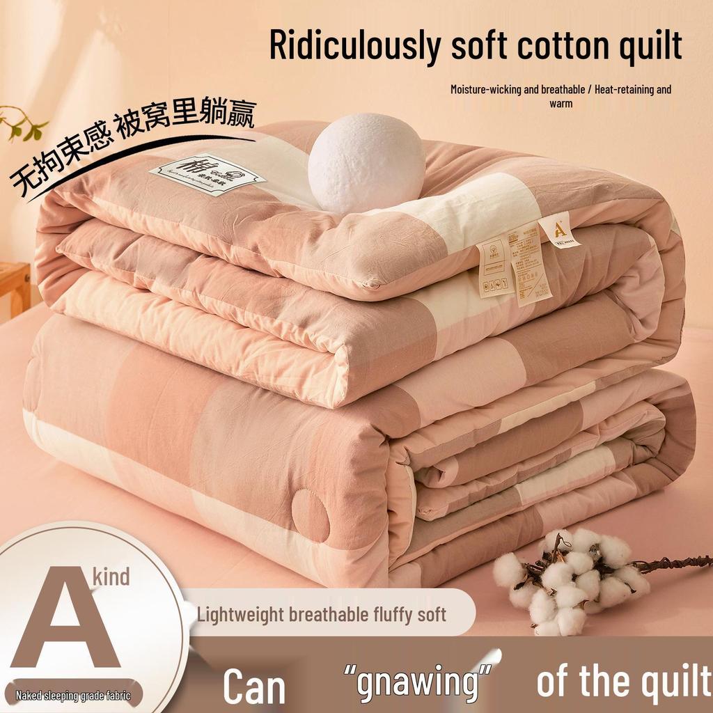 2025 All-Season Quilts: Thick Washed Cotton for Winter, Xinjiang Cotton for Summer, and Versatile Spring/Autumn Comfort