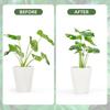 Stabilizers Plant Fixing Bracket Easy Installation Sturdy Decorative Plant Stand Bamboo Shaped Plant Holder Shape Support