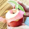 2 In 1 Fruit Peeler Safe Anti-slip Handle Kitchen Gadget Peeling Tool 2-in-1 for Home Kitchen Fruit Vegetable7