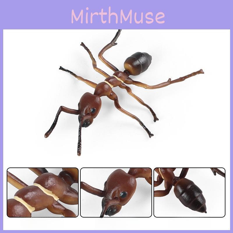 Insect Animal Models Collectible Plastic Figures For Childrens Learning And Classroom Decor