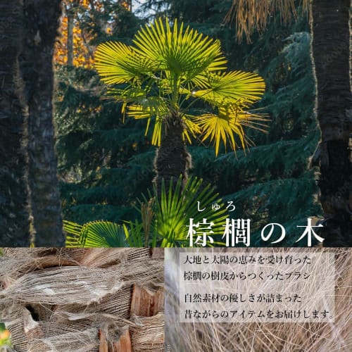 Save Palm Brush, Scrubbing Brush, Kitchen Brush, Sustainable, Environmentally Friendly