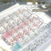12-Piece Ocean-Themed Nail Art Accessory Set: Starfish, Shells, Conch, Coconut Trees, and Pearls