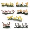 Simulation Poultry Model Realistic Chick Duck Goose Figurine Miniature Farm Animal Educational Toy Home Office Decoration Ornament