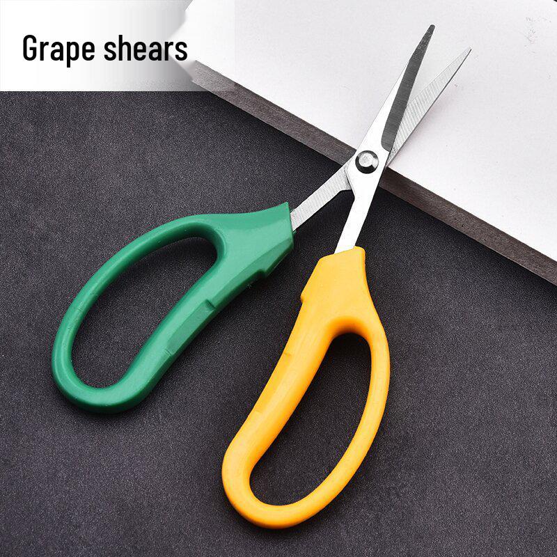 Stainless Steel Multi-purpose Scissors for Fruit, Vegetable, and Flower Arranging Modern Simple
