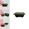 Flowerpot With Simulated Rainflower Rocks For Office Or Living Room Decor