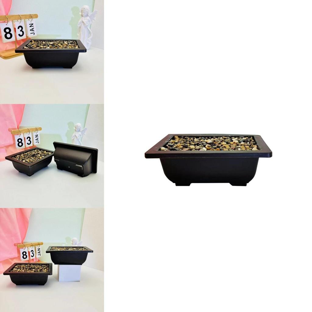 Flowerpot With Simulated Rainflower Rocks For Office Or Living Room Decor