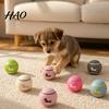 Durable Fetching Balls for Small Dogs Latex Squeaky Dog Ball, Interactive Fetch Cute Dachshund Pattern, Pet with Sound Chew Toy Medium Indoor Outdoor