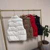 Down Jacket Vest Women's New Single-breasted Outer Wear Stand-up Collar Down Vest Sleeveless