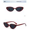 Women's sunglasses, simple small frame cat eye sunglasses.
