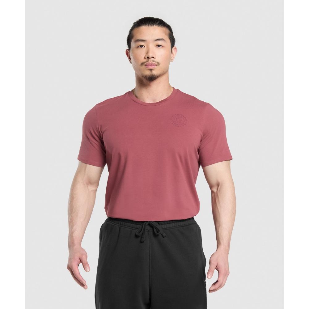 Gymshark T-shirt Legacy rose baie délavé A5a3b Kcps