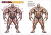 How To Draw Strong Muscles (Super Drawing Series)