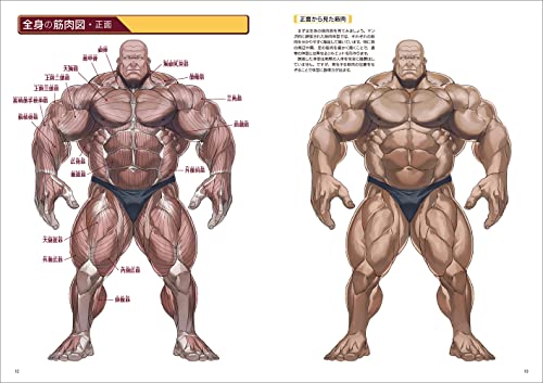 How To Draw Strong Muscles (Super Drawing Series)