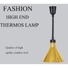 Food Warmers Food Warm Food Service Equipment Supply Length Adjustable Single Head Hanging Lamp Commercial self-Service Pizza Heating Lamp Hotel