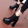 2025 New Autumn and Winter High Heels Short Boots Women's Thick Heel Single Boots Warm Velvet Waterproof Table Martin Boots Women's Boots
